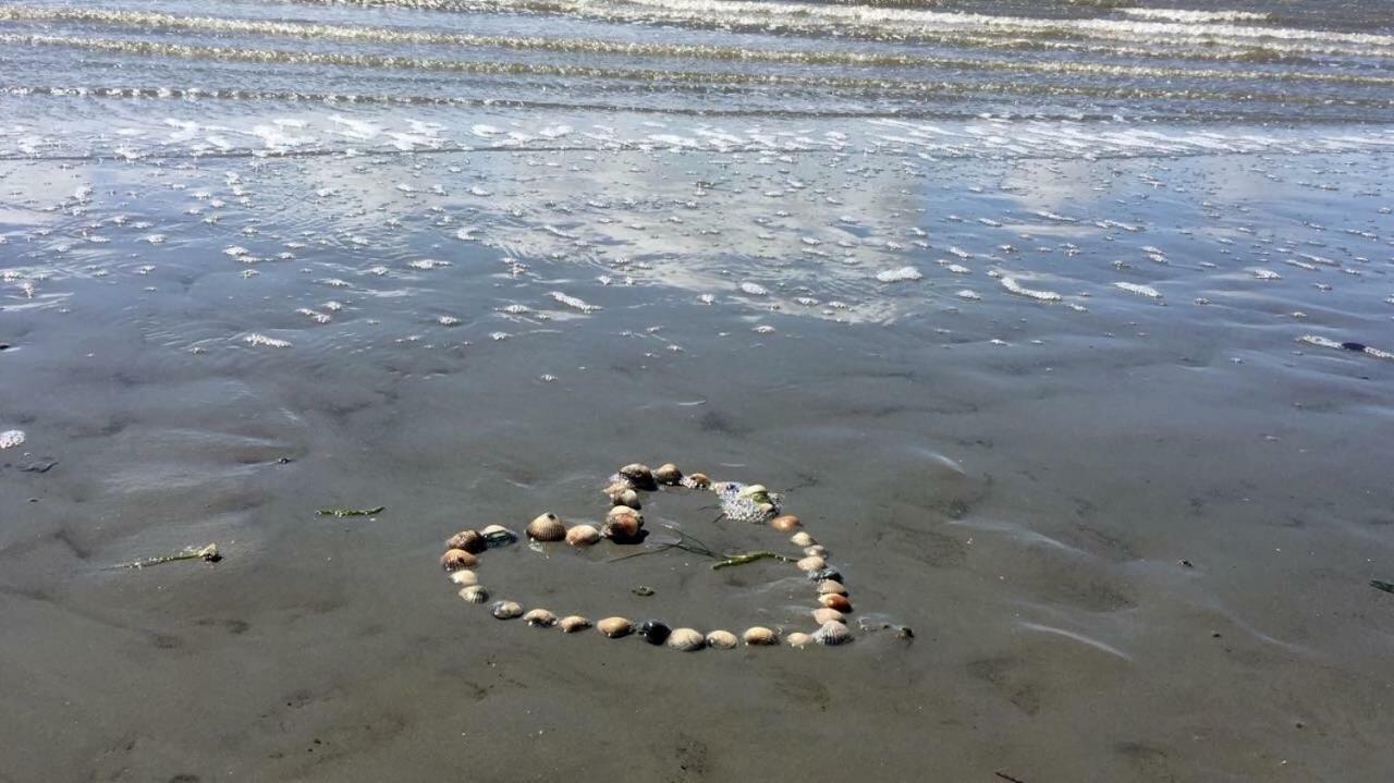 Strandhaus Kleine Perle Büsum Eksteriør billede